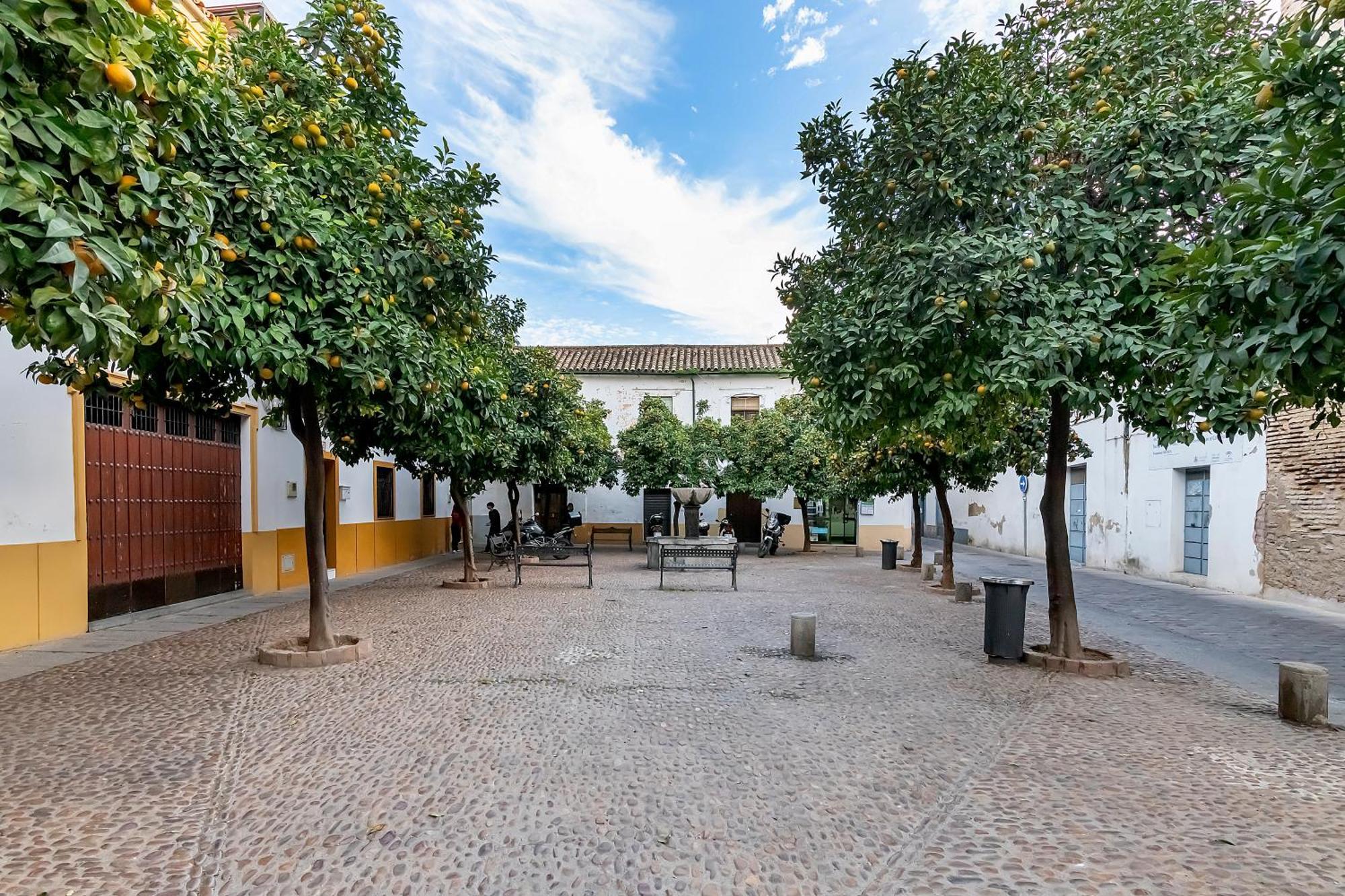 Bhost - Regina VIII Lägenhet Córdoba Exteriör bild
